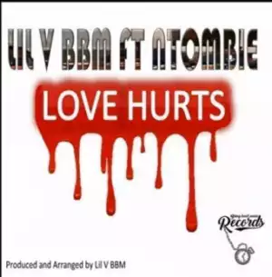 Lil V BBM - Love Hurts Ft. Ntombie